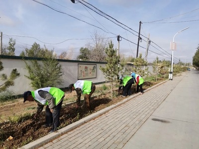 挥好环保“锄头”，耕耘“绿色家园”——新坝镇固体废物治理技术咨询实践探索